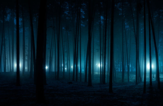 صورة رقم 1 - صورة رقم 1 -