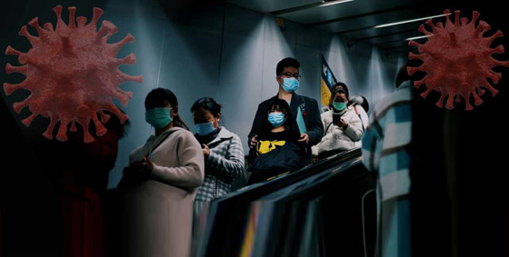 كابوس كورونا يلوح مجددا.. علماء صينيون يكتشفون فيروسا جديدا لدى الخفافيش! صورة رقم 6