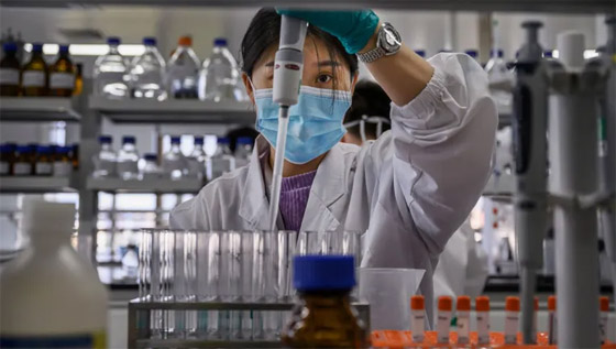 كابوس كورونا يلوح مجددا.. علماء صينيون يكتشفون فيروسا جديدا لدى الخفافيش! صورة رقم 5