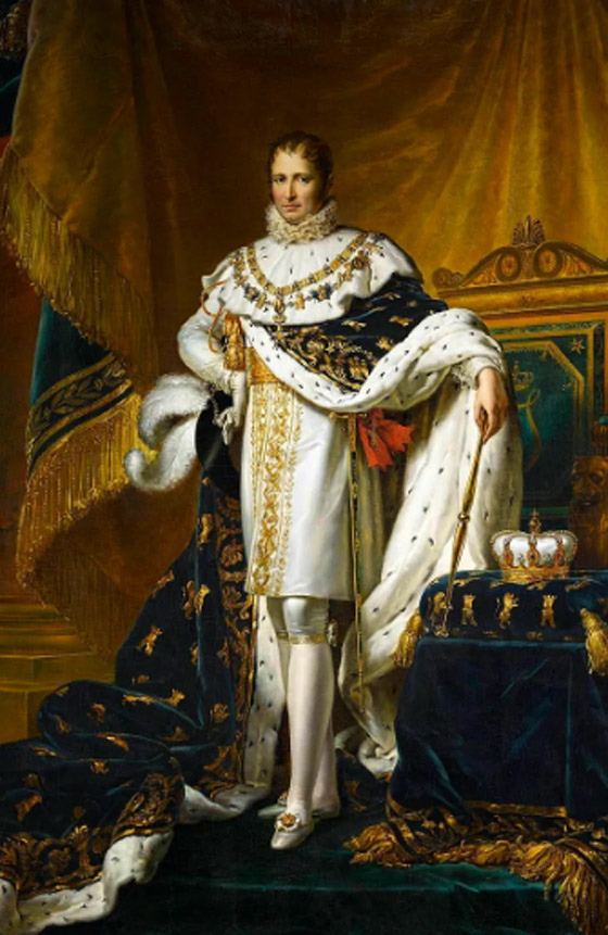 هاجرت عائلته إلى أميركا.. ما لا تعرفه عن نابليون بونابرت صورة رقم 3