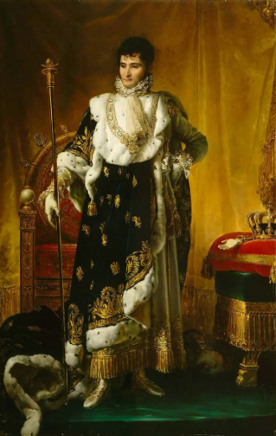 هاجرت عائلته إلى أميركا.. ما لا تعرفه عن نابليون بونابرت صورة رقم 2