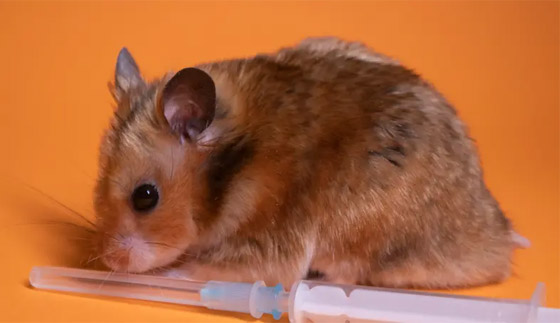  ���� ��� 1 - ����� ������� ����� ������� ��� �����.. ���� ���� ������ɿ