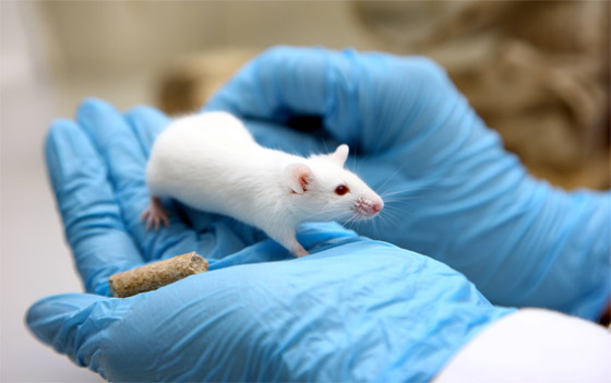  ���� ��� 4 - ����� ������� ����� ������� ��� �����.. ���� ���� ������ɿ