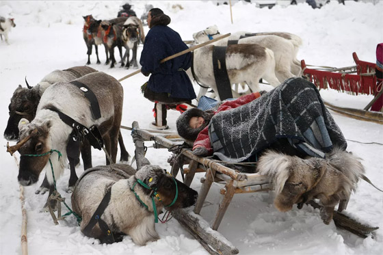 صورة رقم 8 - صور مميزة لـ أشخاص ناموا في الزمان والمكان الخطأ صورة رقم 8 - صور مميزة لـ أشخاص ناموا في الزمان والمكان الخطأ