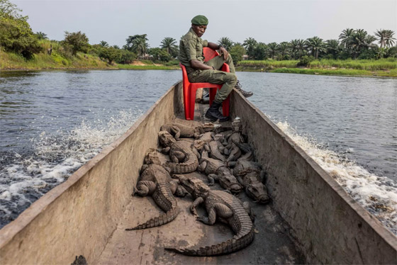 صورة رقم 1 - الكشف عن أبرز الصور المتأهلة لجوائز صورة رقم 1 - الكشف عن أبرز الصور المتأهلة لجوائز