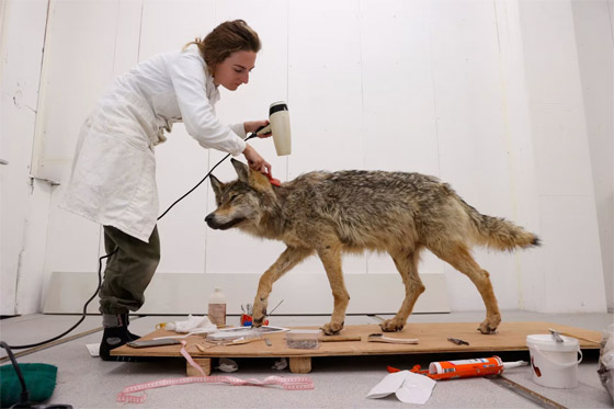 صورة رقم 3 - الكشف عن أبرز الصور المتأهلة لجوائز صورة رقم 3 - الكشف عن أبرز الصور المتأهلة لجوائز