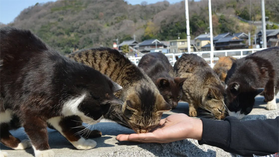 بالصور: إليكم وجهات سياحية غير تقليدية ومميزة حول العالم صورة رقم 5 بالصور: إليكم وجهات سياحية غير تقليدية ومميزة حول العالم صورة رقم 5