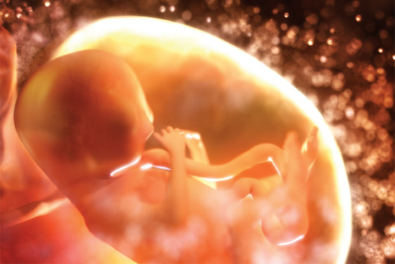 إنجاز طبي.. إنقاذ جنين من مرض قاتل قبل ولادته! صورة رقم 1 إنجاز طبي.. إنقاذ جنين من مرض قاتل قبل ولادته! صورة رقم 1