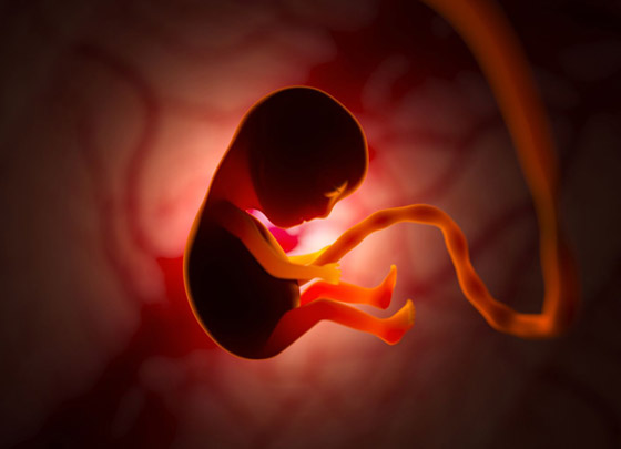 إنجاز طبي.. إنقاذ جنين من مرض قاتل قبل ولادته! صورة رقم 2 إنجاز طبي.. إنقاذ جنين من مرض قاتل قبل ولادته! صورة رقم 2