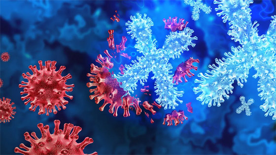 المرض الغامض يُرعب الأطباء.. يقتل ضحاياه بـ48 ساعة وهذه عوارضه صورة رقم 6 المرض الغامض يُرعب الأطباء.. يقتل ضحاياه بـ48 ساعة وهذه عوارضه صورة رقم 6