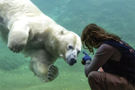 إليكم الصور الأكثر إثارة لأحداث العالم في آخر أسبوع من شتاء 2025 صورة رقم 2 إليكم الصور الأكثر إثارة لأحداث العالم في آخر أسبوع من شتاء 2025 صورة رقم 2