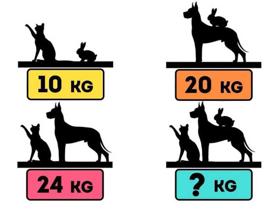  ���� ��� 2 - %2 �� �������� ������ ��� �� ����� ��6 ����.. ��� ��� ����