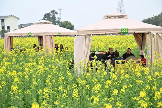  ���� ��� 3 - ��� ����� ����� ��� ������ ��� ������