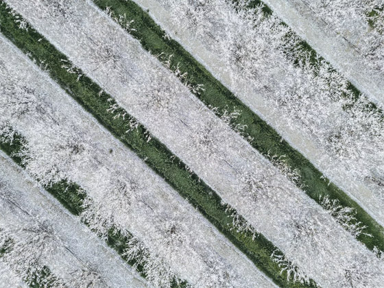  ���� ��� 4 - ��� ����� ����� ��� ������ ��� ������