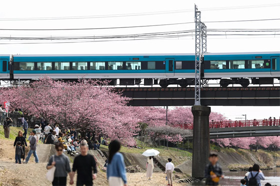  ���� ��� 5 - ��� ����� ����� ��� ������ ��� ������