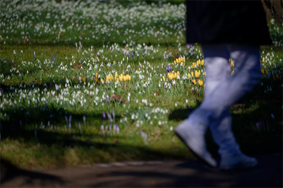  ���� ��� 8 - ��� ����� ����� ��� ������ ��� ������