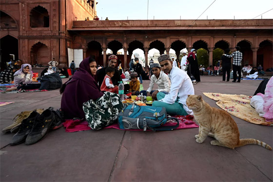 إليكم الصور الأكثر إثارة لأبرز أحداث العالم خلال الأسبوع صورة رقم 13 إليكم الصور الأكثر إثارة لأبرز أحداث العالم خلال الأسبوع صورة رقم 13