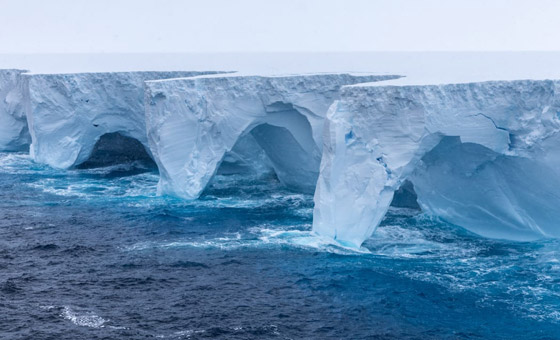 أكبر جبل جليدي في العالم يتحرك ويهدد بكارثة كبرى! صورة رقم 3 أكبر جبل جليدي في العالم يتحرك ويهدد بكارثة كبرى! صورة رقم 3