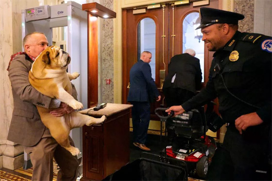 إليكم أطرف الصور لأبرز أحداث العالم لهذا الأسبوع صورة رقم 2 إليكم أطرف الصور لأبرز أحداث العالم لهذا الأسبوع صورة رقم 2