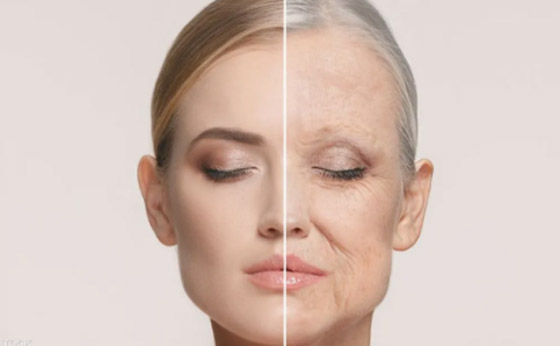 بغض النظر عن العمر الفعلي.. الوجبات السريعة تعجل شيخوخة الجسم صورة رقم 1