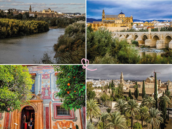  ���� ��� 6 - ����� ������ ������ ����� ��������� ��������� �������� ���������