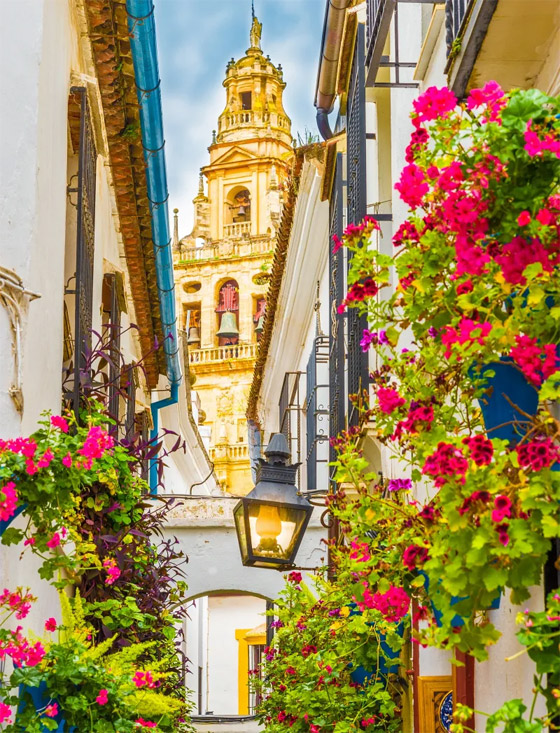  ���� ��� 11 - ����� ������ ������ ����� ��������� ��������� �������� ���������