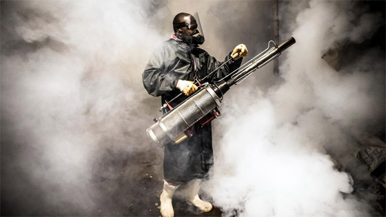 صورة رقم 6 - كيف تنتقل الفيروسات من الحيوانات إلى البشر؟ صورة رقم 6 - كيف تنتقل الفيروسات من الحيوانات إلى البشر؟