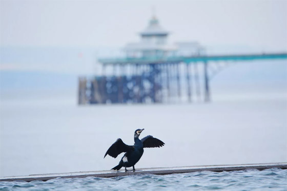 صورة رقم 5 - صور جميلة: بشائر الربيع صورة رقم 5 - صور جميلة: بشائر الربيع