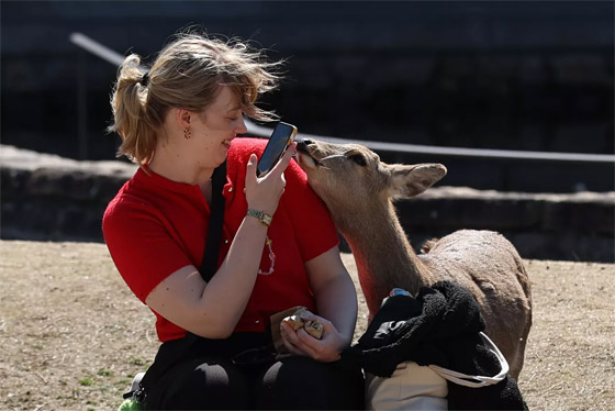 إليكم أطرف الصور لأبرز أحداث العالم لهذا الأسبوع صورة رقم 10 إليكم أطرف الصور لأبرز أحداث العالم لهذا الأسبوع صورة رقم 10