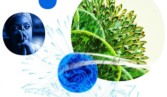 صورة رقم 3 - 11 دولة عربية ضمن مؤشر الابتكار العالمي لعام 2025 صورة رقم 3 - 11 دولة عربية ضمن مؤشر الابتكار العالمي لعام 2025