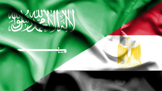 صورة رقم 2 - 11 دولة عربية ضمن مؤشر الابتكار العالمي لعام 2025 صورة رقم 2 - 11 دولة عربية ضمن مؤشر الابتكار العالمي لعام 2025