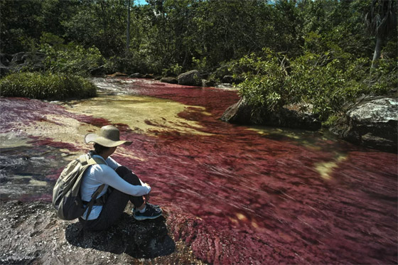  ���� ��� 1 - ������: ������ ��� ���� ����� ������� �� ������