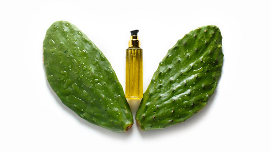 «التين الشوكي» عشبة تزيد جمالكِ.. اكتشفي الأسرار صورة رقم 1