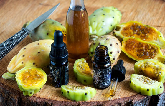 «التين الشوكي» عشبة تزيد جمالكِ.. اكتشفي الأسرار صورة رقم 2