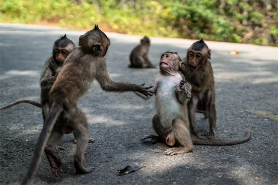 إليكم الصور الأكثر إثارة لأبرز أحداث العالم خلال الأسبوع صورة رقم 5