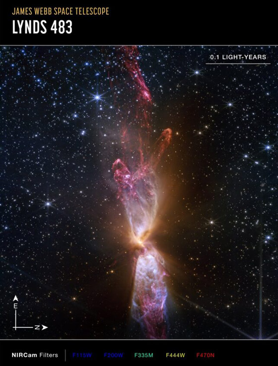 صورة رقم 3 - لقطات مذهلة تكشف عن صورة رقم 3 - لقطات مذهلة تكشف عن