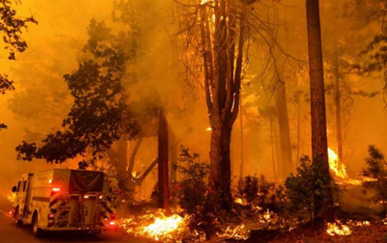 أعاصير وحرائق غابات وعواصف رملية في الولايات المتحدة تُخلّف قتلى وأضراراً جسيمة صورة رقم 7