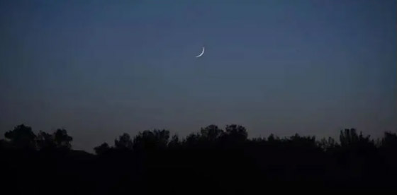  ���� ��� 2 - ��� ���� ��������.. ���� ��� ���� ����� ��� �����