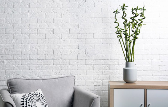 نبات البامبو في منزلك.. إلى ما يرمز عدد سيقانه؟ صورة رقم 1