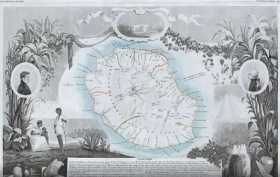 بفضل إفريقي عانى من العبودية.. انتشر استخدام الفانيليا صورة رقم 1