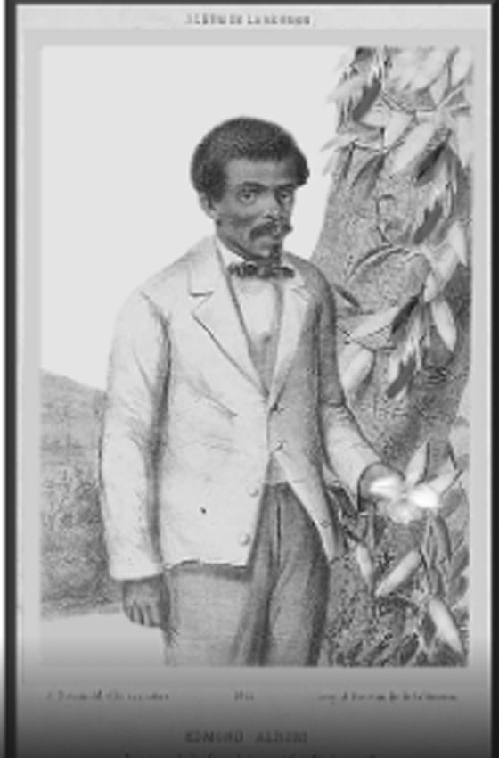 بفضل إفريقي عانى من العبودية.. انتشر استخدام الفانيليا صورة رقم 2