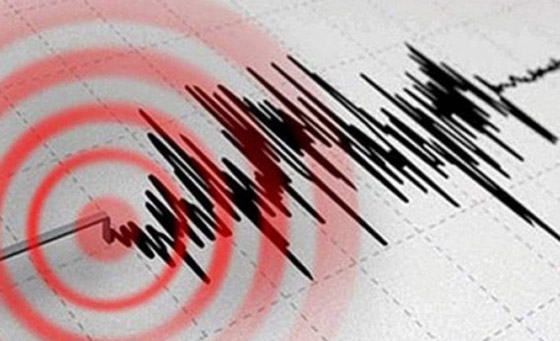 زلزال عنيف بقوة 6.7 درجات قبالة سواحل نيوزيلندا صورة رقم 3