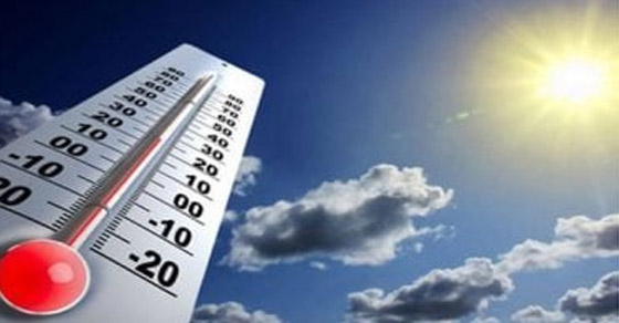 عشان تقضى إجازة العيد بصحة.. نصائح لتعزيز مناعتك مع تقلبات الطقس صورة رقم 3