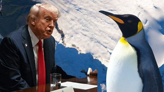 ترامب يفرض رسوماً جمركية على البطاريق صورة رقم 3 ترامب يفرض رسوماً جمركية على البطاريق صورة رقم 3