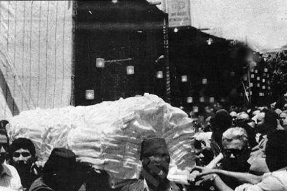 من قتل عمر خورشيد؟.. من دولة عربية ووجهت له 4 تهم وخرج لأداء امتحانه بكلية الحقوق صورة رقم 3