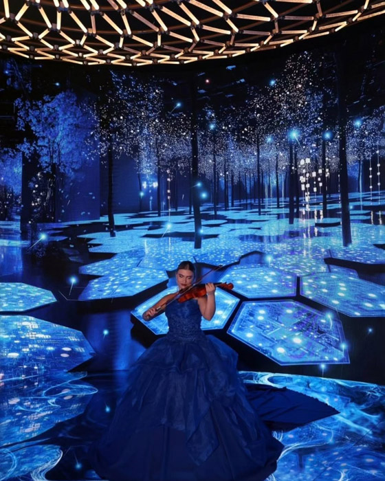 زفاف أسطوري لـ آل سعود... نجوم عرب وتفاصيل فوق الخيال صورة رقم 2