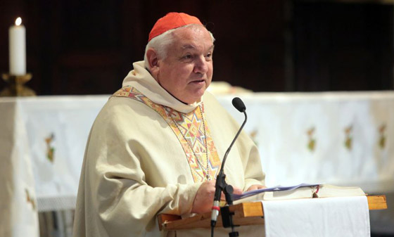 من بين 9 مرشحين.. من سيكون بابا الفاتيكان القادم؟ صورة رقم 1 من بين 9 مرشحين.. من سيكون بابا الفاتيكان القادم؟ صورة رقم 1