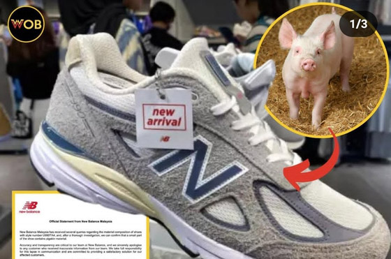 تركيا تغرم شركات أحذية شهيرة بسبب جلد الخنزير صورة رقم 3 تركيا تغرم شركات أحذية شهيرة بسبب جلد الخنزير صورة رقم 3