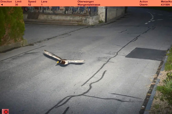 رادار يرصد مخالفة سرعة لـ رادار يرصد مخالفة سرعة لـ