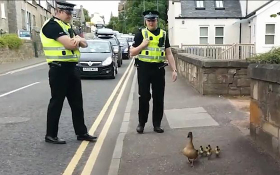 رادار يرصد مخالفة سرعة لـ رادار يرصد مخالفة سرعة لـ